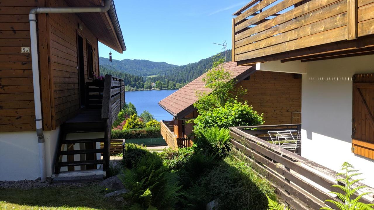 Chalet Vosgien Gerardmer Bagian luar foto