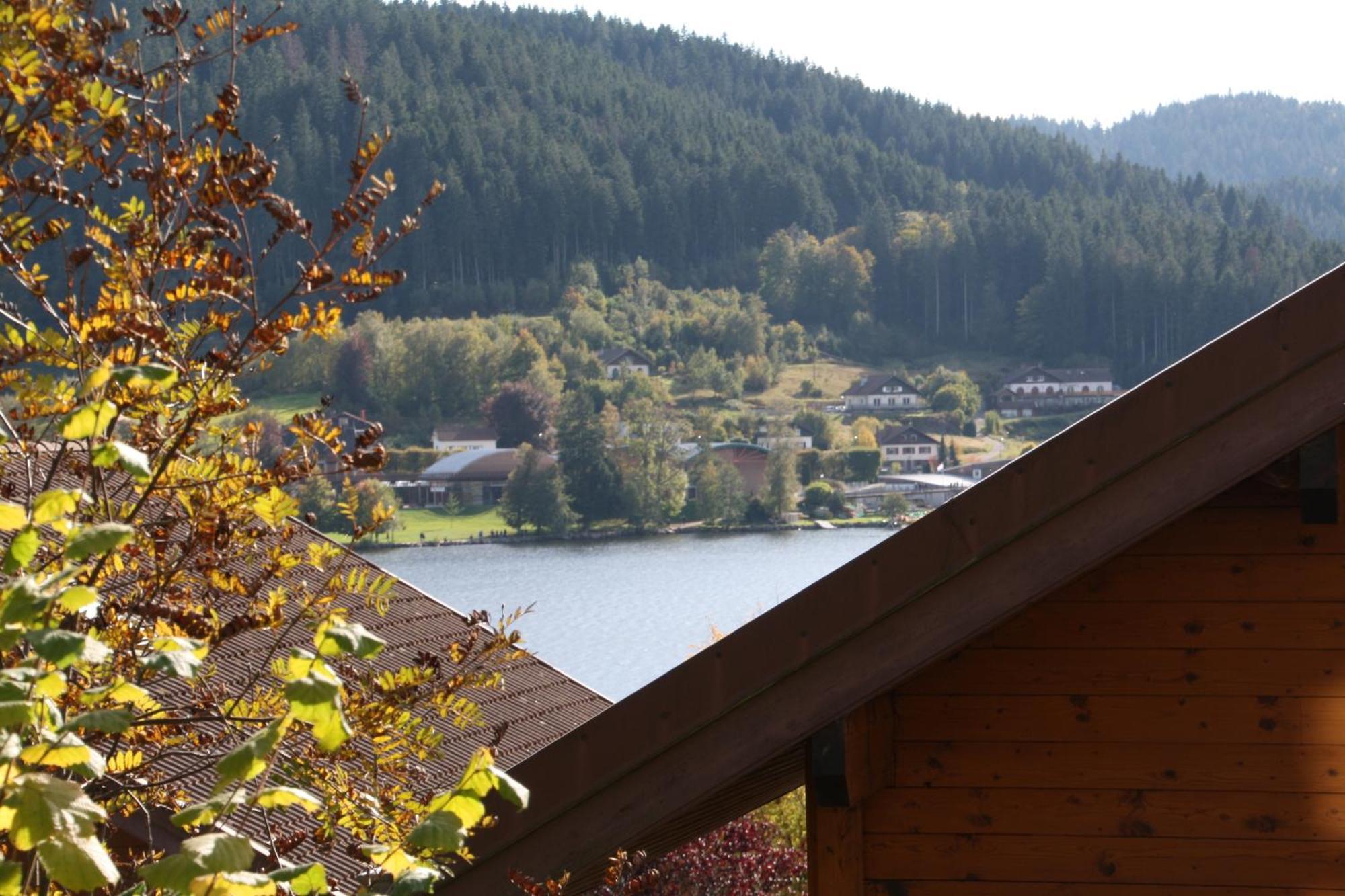 Chalet Vosgien Gerardmer Bagian luar foto